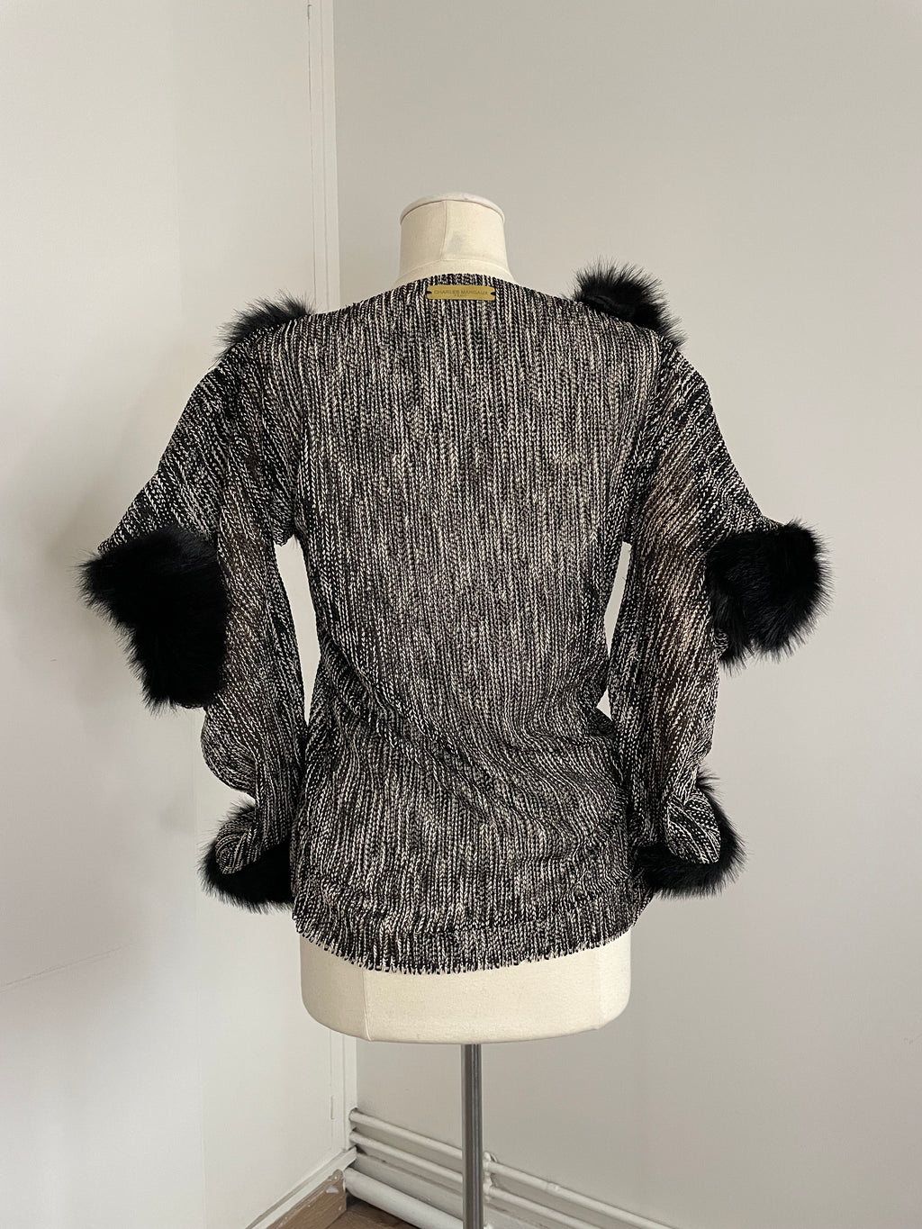 In order to fight a dragon