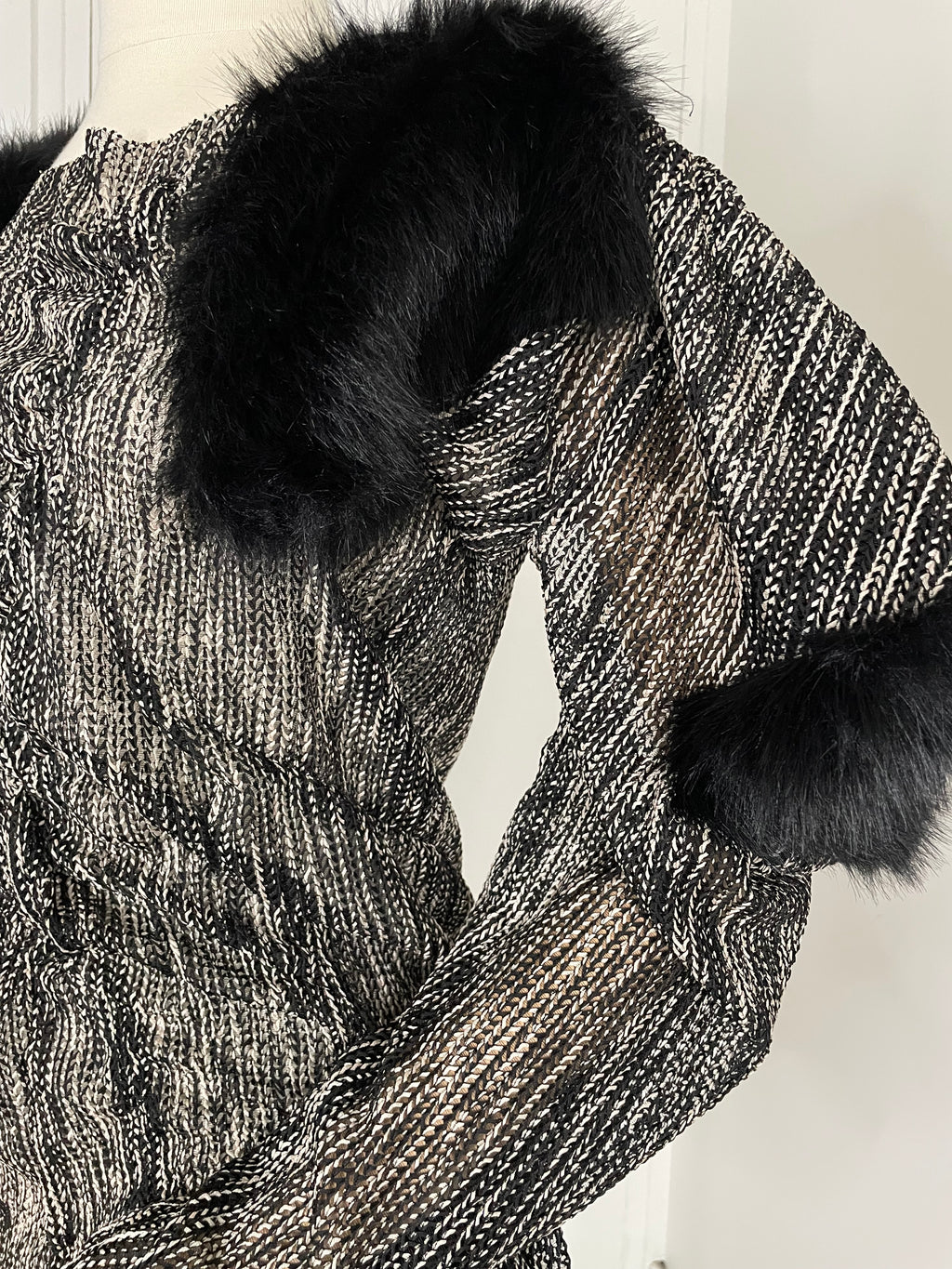 In order to fight a dragon